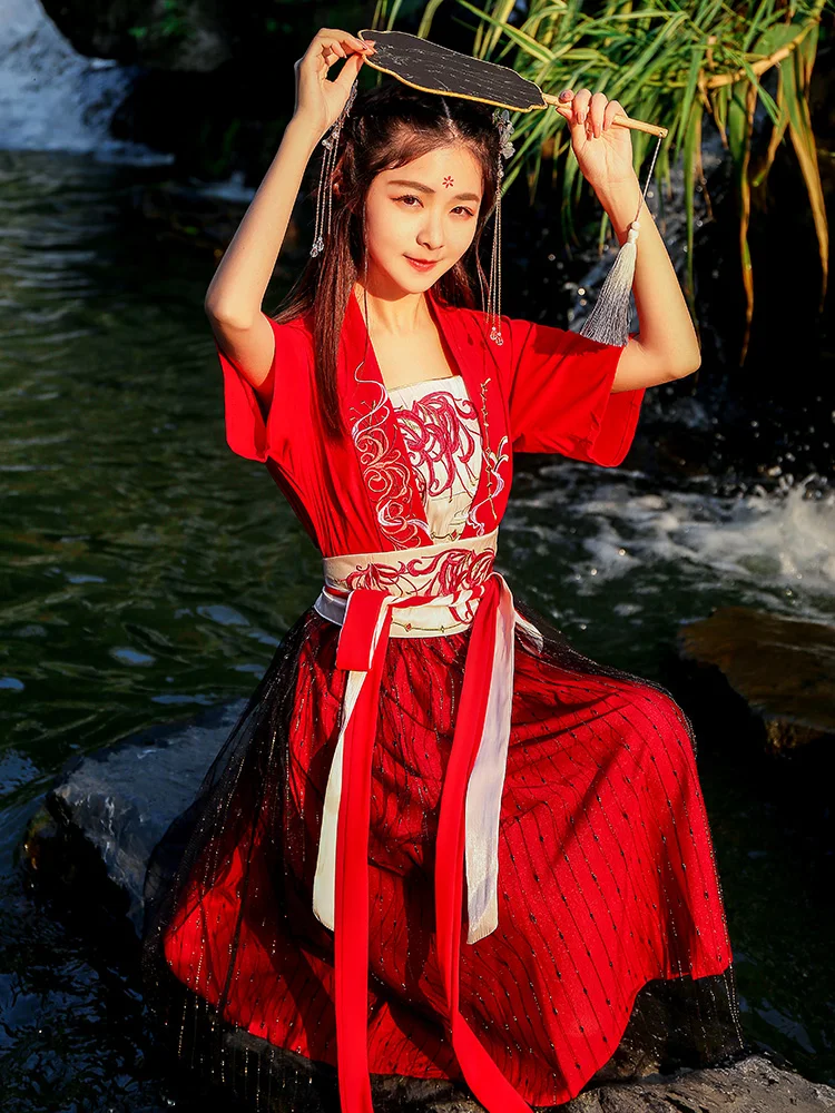 Tradicinis kinų Kostiumas Moterims Hanfu Drabužių Senovės Moterų tautinių Šokių Suknelė Etapo Rezultatus Tang Dinastijos Apranga Nuotrauka 2